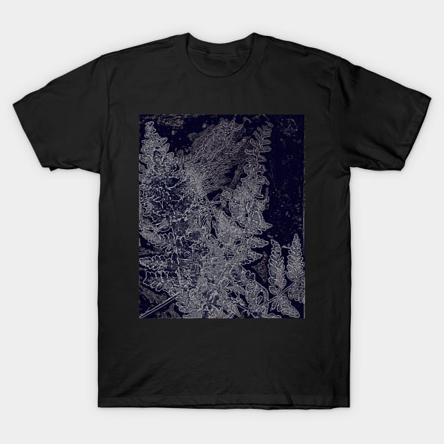 fern, lumen print T-Shirt by Alchemia